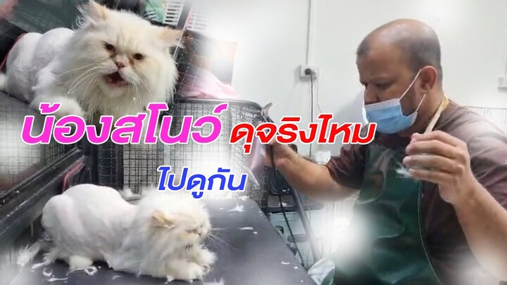 ช่างท้อป - น้องสโนว์ ดุจริงไหมไปดูกัน
