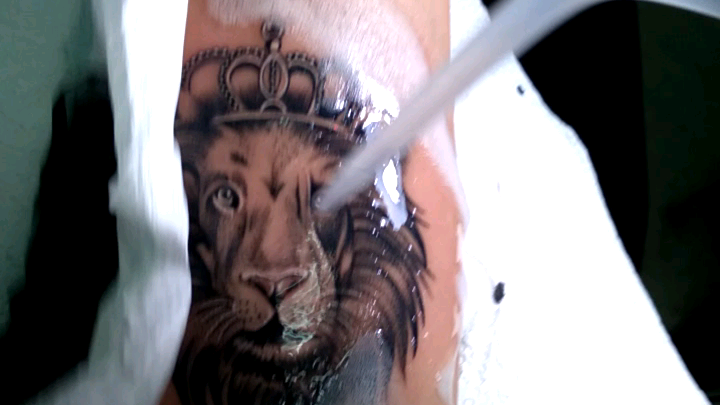 Lion Minimalist Tattoo