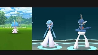 Catching shiny Ralts, Gardevoir and Gallade during community day!