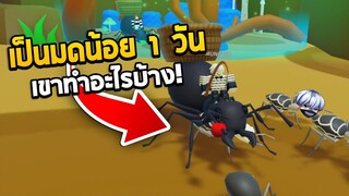 Roblox เป็นมดน้อย 1 วัน เขาทำอะไรบ้าง! (The Ants Underground Kingdom)