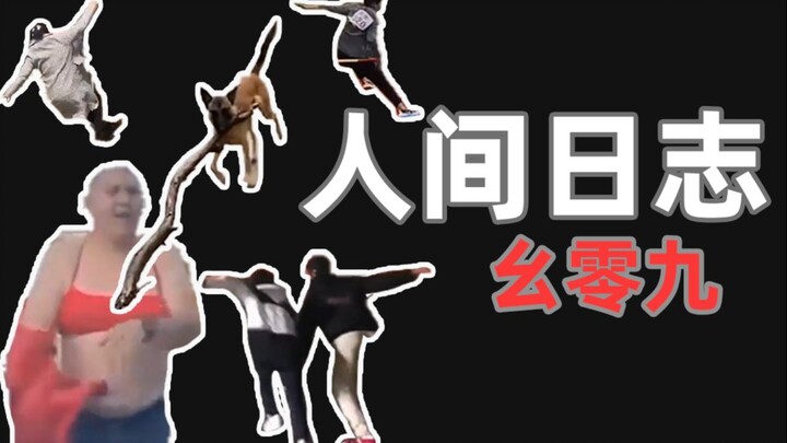 [Human Observation Log] 109: No fighting, no fighting—hahahaha!