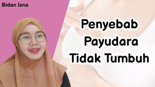 PENYEBAB PAYUDARA TIDAK TUMBUH WANITA WAJIB TAU, BIDAN ISNA