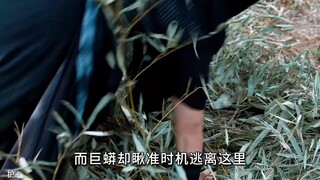 为了练出绝世神功 女孩竟抓来巨蟒来练功