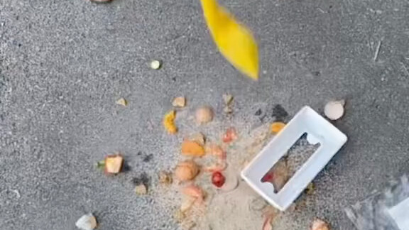 Có gì trong ghế ăn cho bé?