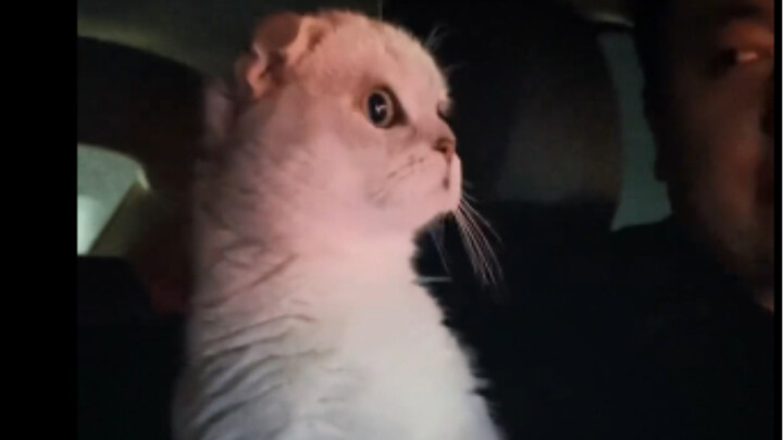 It’s outrageous that I had to buy a standing-room-only ticket for my kid!