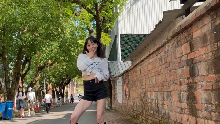 【แมว】ขึ้นลง