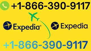 7 Ways to Contact Expedia Customer Service (Phone, Chat, Email Guide)