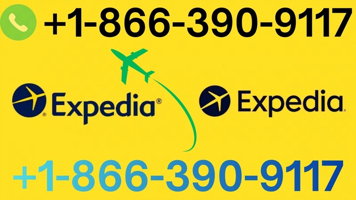 7 Ways to Contact Expedia Customer Service (Phone, Chat, Email Guide)