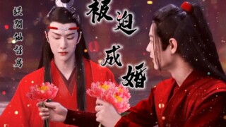 忘羡 误闯仙督房，被迫成婚番外3
