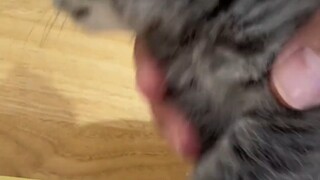 من الذي علّمهم هذا أصلاً؟