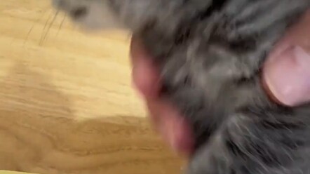 من الذي علّمهم هذا أصلاً؟