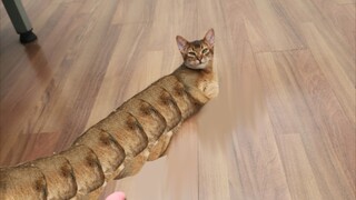 Summon the Sand Worm