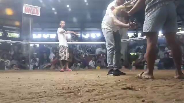 loss 2nd fight sa hugo