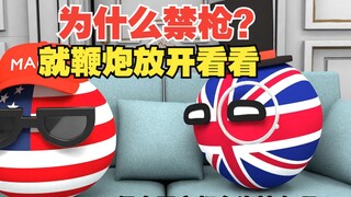 中国为什么要禁枪？放开的话谁管的住啊【波兰球】