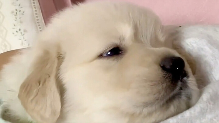 ตื่นเช้ามาพลิกตัวทีเดียว ใครจะเข้าใจบ้างนะ