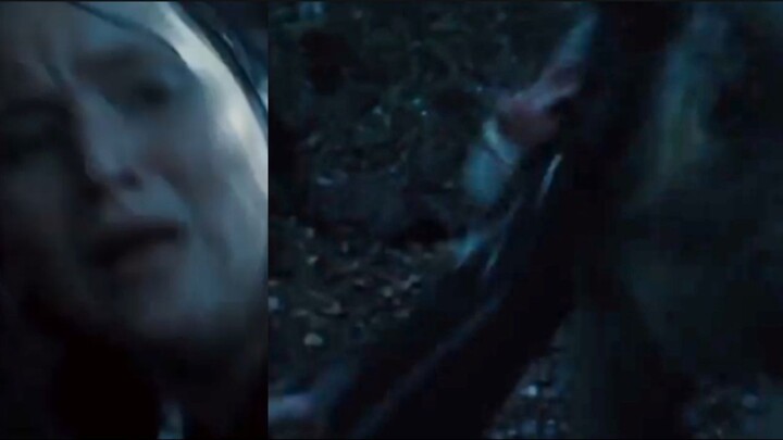 The Hunger Games 2 2013 - Wonan kicking baboon for defence | survival action movies 2025