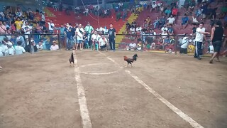 2nd fight win