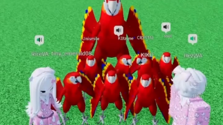 BYD Meniru Kata-Kata