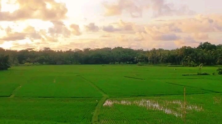 nyore di kampung