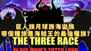 巨人族月球族海盗族哪个种族是海贼王的最强种族？#855