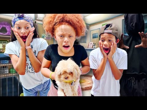 JOJO’S  PUPPY GOES MISSING FROM HER FRONT YARD 😱😱😔😔(DOGNAPPER!!)