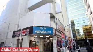 SHOPPING At My Favorite Stores In AKIHABARA