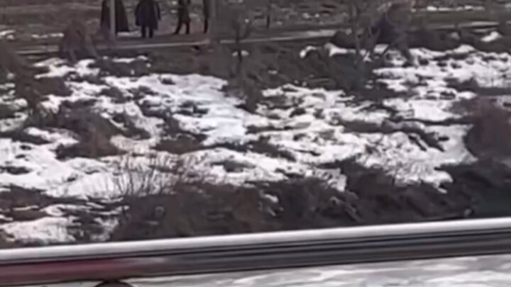 The old man’s goose crossed the Yalu River and ran into North Korea.