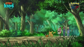 pokemon xy 92 (276) h