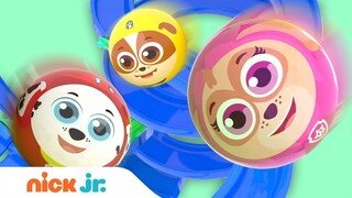 PAW Patrol Pups in Marble Race #2!  🏁 | Nick Jr.