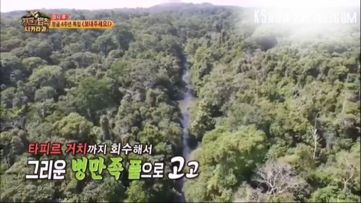 E184 Law of The Jungle_nicaragua