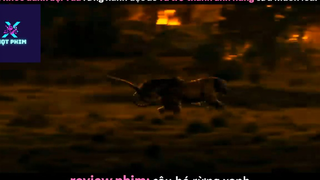 REVIEW PHIM : Cậu bé rừng xanh (p2) #rvphimcuocsong