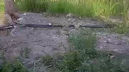 Camari view with my Bro.in law Michael Esconde,melvin,Ryan bang bang bang,My son Yoseff,&Langga Jho