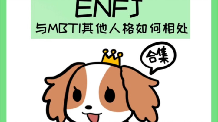 【ENFJv15】ENFJ与其他人格怎样相处？