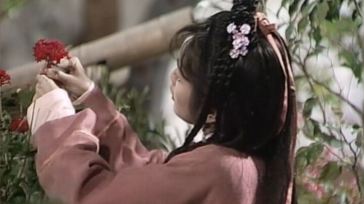 The beautiful girls in Hong Kong dramas are not cute, but very smart