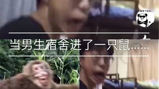 隔着屏幕都能感受到的崩溃哈哈哈哈哈哈哈哈哈