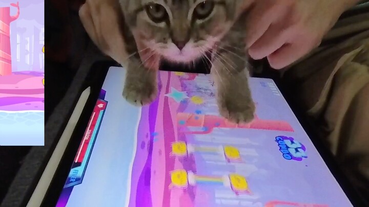 【นิวส์แฟลช】ฉันน่าจะเล่นเวอร์ชันแท้แล้วนะ