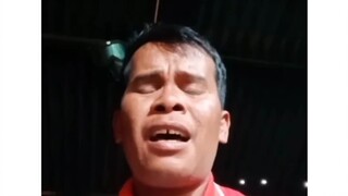 lagu pelangi New Update