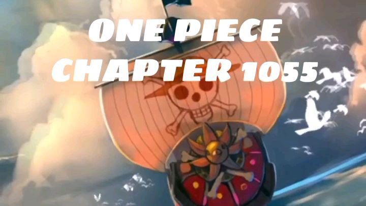 One Piece Chapter 1055 Bilibili