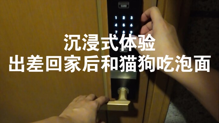 Nghe nói kỳ trước không có thêm bữa, kỳ này bù cho mèo con và chó con.
