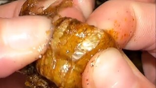 Is cicada nymph meat actually pork?