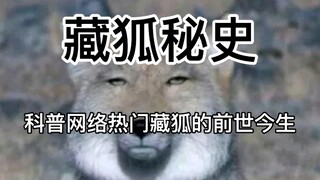 ประวัติศาสตร์ลับของจิ้งจอกทิเบต: อดีตและปัจจุบันของเครือข่ายเผยแพร่วิทยาศาสตร์ยอดนิยม จิ้งจอกทิเบต อ