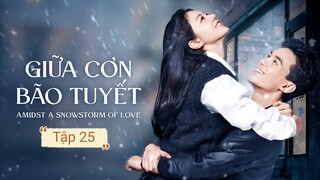 Phim Giữa Cơn Bão Tuyết - Tập 25 | Vietsub