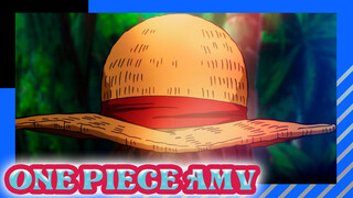 Không thể đánh bại ngươi thì ta không bảo vệ được gì cả | One Piece