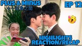 Plus & Minus ＋－正負之間 - Finale Episode 12 - Highlights Reaction/Recap 🇹🇼