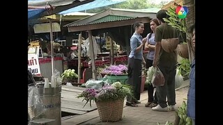 ดาวหลงฟ้าภูผาสีเงิน 2544 Ep.8