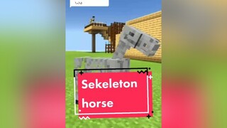 Balas  ini sekeleton horse nya, palingan ketemu di mode hard tapi jarang :( minecraft horse sekeleton  fyp fypシ foryou