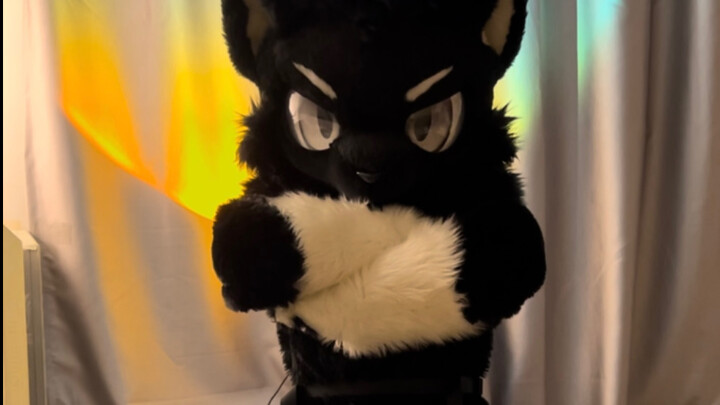 Anubis goyang, goyang tiga kali