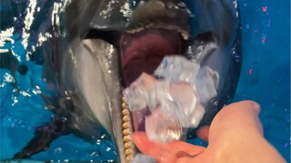 Have a bite and a drink