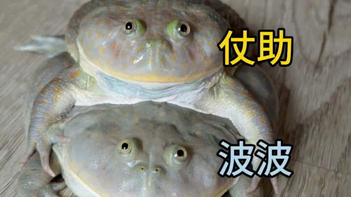 南 方 仗 助 一 动 不 动
