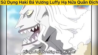 Sử dụng haki bá vương luffy hạ nửa quân địch